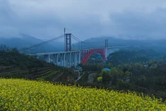 2023多彩贵州·第十六届中国原生态国际摄影大展 · 行摄如影 的图集
