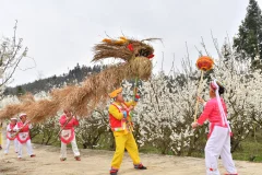 多彩贵州·第十四届中国原生态国际摄影大展 · 黔像荟萃 的图集