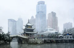 ​2024多彩贵州·第十七届中国原生态国际摄影大展 · 张诗昊 的图集