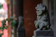 ​2024多彩贵州·第十七届中国原生态国际摄影大展 · 杨青美 的图集