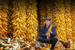 2024多彩贵州·第十七届中国原生态国际摄影大展展览 · 摄影大展官方客服 的图集