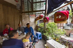 ​2024多彩贵州·第十七届中国原生态国际摄影大展 · 朱进 的图集
