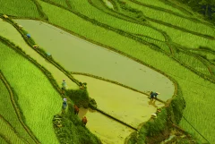 多彩贵州·第十四届中国原生态国际摄影大展 · 萧佟 的图集