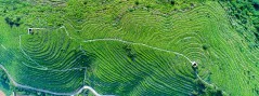 多彩贵州·第十四届中国原生态国际摄影大展 · 潘潘 的图集