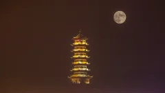 多彩贵州·第十四届中国原生态国际摄影大展 · 知根 的图集