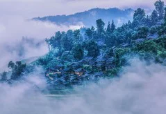 多彩贵州·第十四届中国原生态国际摄影大展 · 老不朽 的图集