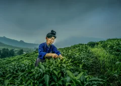 多彩贵州·第十四届中国原生态国际摄影大展 · 朱文军 的图集