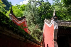 2025多彩贵州·第十八届中国原生态国际摄影大展 · 朱进 的图集