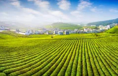 多彩贵州·第十四届中国原生态国际摄影大展 · 山涧泉水 的图集