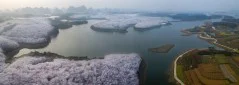 多彩贵州·第十四届中国原生态国际摄影大展 · 叶子烟 的图集