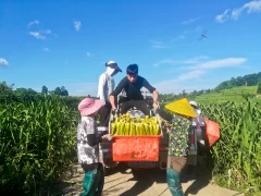 多彩贵州·第十四届中国原生态国际摄影大展 · 博一 的图集
