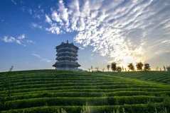 多彩贵州·第十四届中国原生态国际摄影大展 · 周访华 的图集