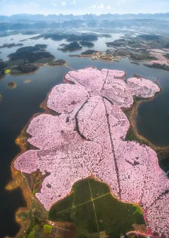 2020多彩贵州·第十三届 中国原生态国际摄影大展 · 原生态官网客服 的图集