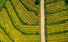 多彩贵州·第十四届中国原生态国际摄影大展 · 健摄者 的图集