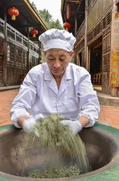 多彩贵州·第十四届中国原生态国际摄影大展 · 老朋老友 的图集