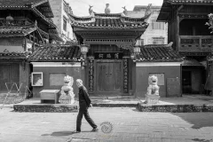 2024多彩贵州·第十七届中国原生态国际摄影大展展览 · 摄影大展官方客服 的图集