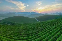 多彩贵州·第十四届中国原生态国际摄影大展 · 信念 的图集
