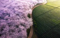 多彩贵州·第十四届中国原生态国际摄影大展 · 张中源 的图集