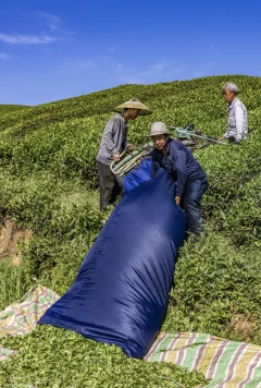 多彩贵州·第十四届中国原生态国际摄影大展 · 崎岸 的图集