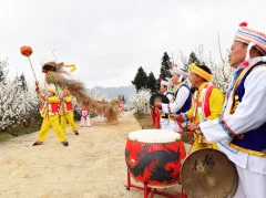 多彩贵州·第十四届中国原生态国际摄影大展 · 黔像荟萃 的图集