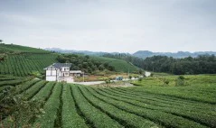 多彩贵州·第十四届中国原生态国际摄影大展 · 到处走走 的图集