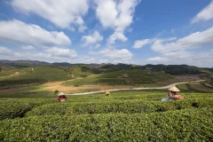 多彩贵州·第十四届中国原生态国际摄影大展 · 无线的风筝 的图集