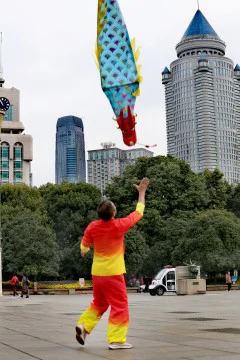 多彩贵州·第十四届中国原生态国际摄影大展 · 挺拳而立 的图集