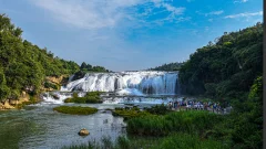 2025多彩贵州·第十八届中国原生态国际摄影大展 · 梧桐树 的图集