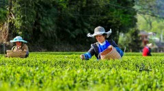 多彩贵州·第十四届中国原生态国际摄影大展 · 红色亚洲 的图集