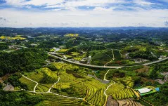 多彩贵州·第十四届中国原生态国际摄影大展 · 健摄者 的图集