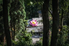 2025多彩贵州·第十八届中国原生态国际摄影大展 · Jenny 的图集
