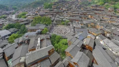 2023多彩贵州·第十六届中国原生态国际摄影大展 · 鱼乐界 的图集