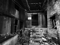 2025多彩贵州·第十八届中国原生态国际摄影大展展览 · 摄影大展官方客服 的图集