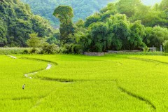 多彩贵州·第十四届中国原生态国际摄影大展 · 朱进 的图集