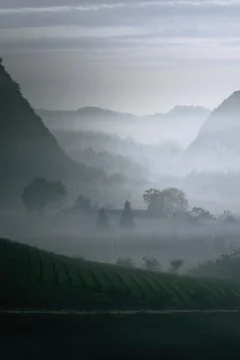 多彩贵州·第十四届中国原生态国际摄影大展 · 张啪啪 的图集