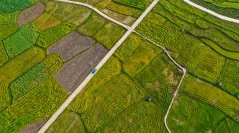 多彩贵州·第十四届中国原生态国际摄影大展 · 杨明亮 的图集