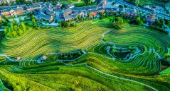 多彩贵州·第十四届中国原生态国际摄影大展 · 开心 的图集