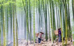 多彩贵州·第十四届中国原生态国际摄影大展 · 祥哥 的图集