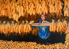 多彩贵州·第十四届中国原生态国际摄影大展 · 天涯客 的图集