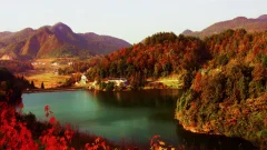 多彩贵州·第十四届中国原生态国际摄影大展 · 高山一棵松 的图集