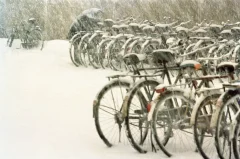 《雪野》
