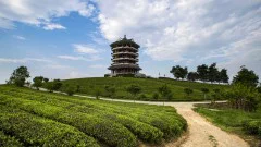多彩贵州·第十四届中国原生态国际摄影大展 · 潇湘客 的图集