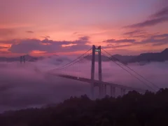 2023多彩贵州·第十六届中国原生态国际摄影大展 · 叶子烟 的图集