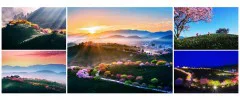 多彩贵州·第十四届中国原生态国际摄影大展 · 阳阳(苏朝阳) 的图集