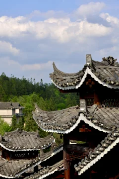 2025多彩贵州·第十八届中国原生态国际摄影大展 · 朱润彤 的图集