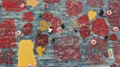 多彩贵州·第十四届中国原生态国际摄影大展 · 杨晓海 的图集