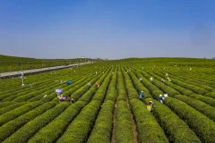 多彩贵州·第十四届中国原生态国际摄影大展 · 7戒 的图集