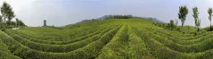 多彩贵州·第十四届中国原生态国际摄影大展 · 潇湘客 的图集