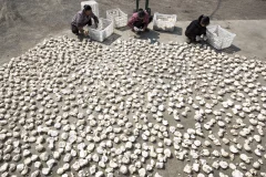 多彩贵州·第十四届中国原生态国际摄影大展 · 七星漂 的图集