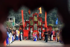 2025多彩贵州·第十八届中国原生态国际摄影大展 · 沙漠狼 的图集